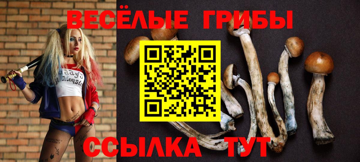 Галлюциногенные грибы Magic Shrooms  Вход с VPN  Шахты 
